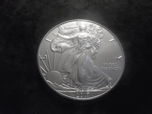 2017 American Silver Eagle 1 Oz. 99.9 Fine Silver MS From Unc. Roll