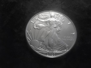 2020 American Silver Eagle 1 Oz. 99.9 Fine Silver MS From Unc. Roll