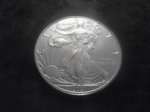 2021 American Silver Eagle 1 Oz. 99.9 Fine Silver MS From Unc. Roll