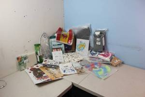 Assorted Amazon Returns & Shelf Pulls - Toys, Flags, Makeup, See Picture