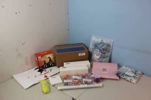 Assorted Amazon Returns & Shelf Pulls - Allergy Sweet Potato, Decorations, Travis Scott Mat See Picture
