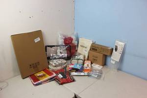 Assorted Amazon Returns & Shelf Pulls - Pet Toys, Flashlights, Decorations See Picture