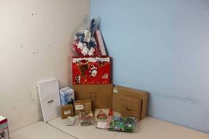 Assorted Amazon Returns & Shelf Pulls - Water Filter, Undersink Organizer, seasonal , See Picture