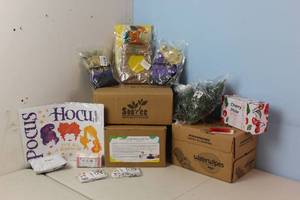 Assorted Amazon Returns & Shelf Pulls - Balloons, Decor, Seasonal, See Picture
