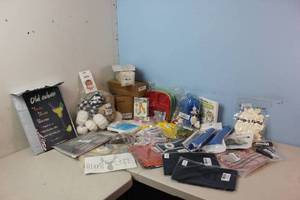 Assorted Amazon Returns & Shelf Pulls - Scented Candle, Decor, Toys, See Pictures