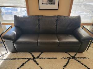 Contemporary Leather Sleeper Sofa