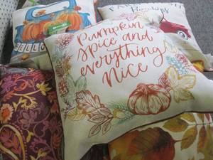 5 new outdoor throw pillows...