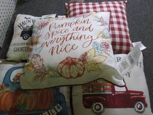 5 new outdoor throw pillows...