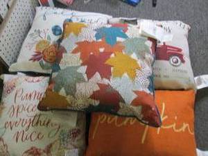 5 new outdoor throw pillows...