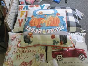 5 new outdoor throw pillows...