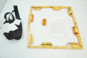 lot 401 image: Social security game