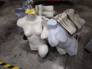 lot 151 image: Mannequin Forms and Components...