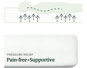 lot 119 image: Zinus 6 in. Green Tea Memory Foam Pressure Relieving Queen Size Mattress Bed-in-a-Box
