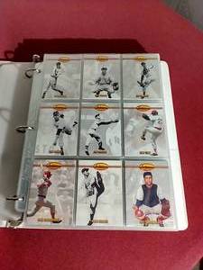 1993 Ted Williams Card Album