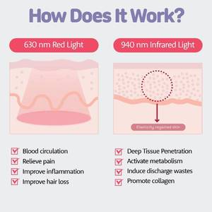 lot 22 image: Lancity Alternating Pressure Mattress