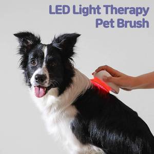 lot 23 image: Feedings LED Light Therapy Dog and Cat Brush