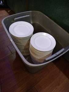 Tote With Over 50 White Plates