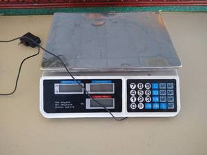 Electronic Food Scale