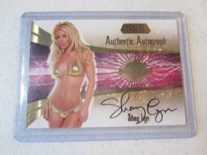 2007 BenchWarmer Shay Lyn Autograph...