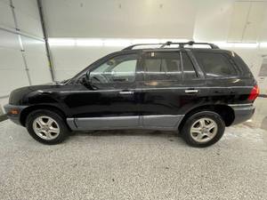 2004 Hyundai Santa Fe