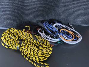 lot 16 image: Lot of Assorted Bungee Cords and Rope in Collapsible Crate