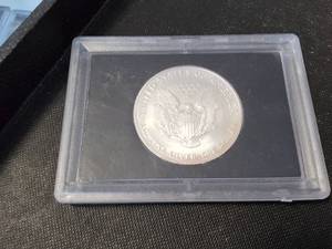 2004 AMERICAN SILVER EAGLE IN PLASTIC CASE