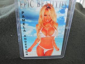 lot 169 image: Epic Beauties Custom Print Pamela A...