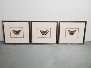 Butterfly Artwork