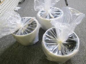 3 new 6 Self Watering  Self Aerat...