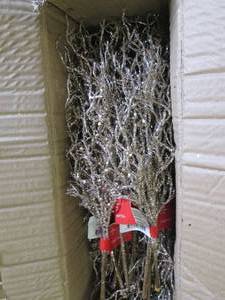 2 boxes of leaf picks ...