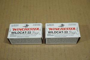 lot 174 image: 50 Winchester Wildcat 22 .22 LR 40 Gr LRN Ammo