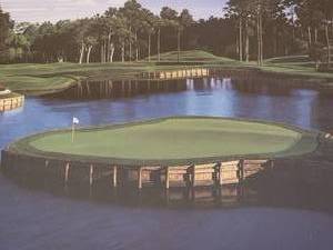 lot 41A image: Golfers Fine Art Photography Print by Danny Day - 17th at Sawgrass