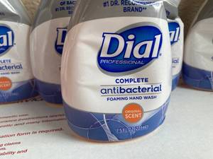 Dial Foaming Hand Soap