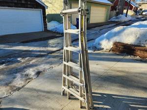 Professional Convertible Ladder