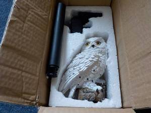 Solar Snowy Owl...