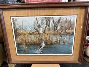 Ducks Artwork Signed & Numbered 27x35