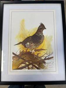 John Allen Signed & Numbered Framed Art 16x20