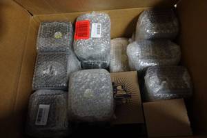 lot 284 image: 32 Novelty Drinking Glasses -All Non-Political, Sarcastic Gag Gifts