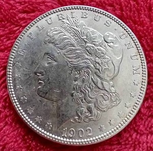 1902 Morgan Dollar