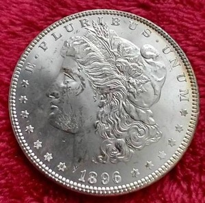 1896 Morgan Dollar