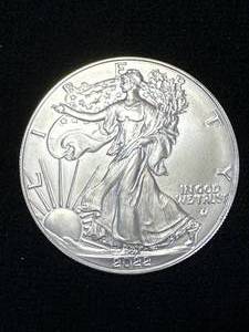 lot 45 image: 2022 1oz .999 Silver Eagle