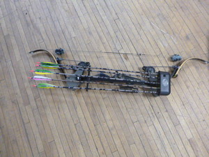 lot 120 image: Screaming Eagle Bow