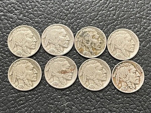 Buffalo Nickels
