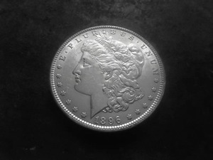 1896 Morgan Silver Dollar