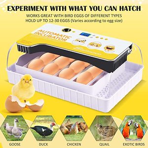 Sailnovo Eggs Incubators for Hatching Eggs with LED Light