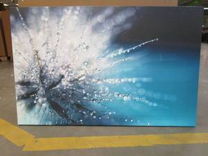 lot 317 image: Nature Print on Canvas With Wood Frame. Approximate Dimensions 30 x 47 - SOLD AS IS