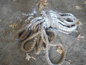 lot 172 image: 1 Heavy Duty Rope Approx 30