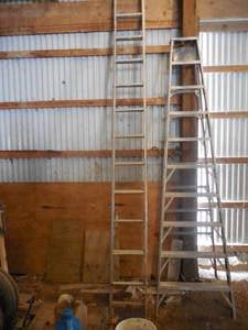 lot 173 image: 10 Step Ladder & 20 Extension Ladder