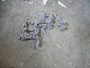 lot 176 image: 12 Log Chain 12 Long With Hooks