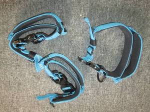 3 dog collars ...